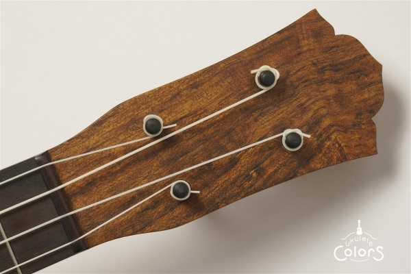ukulele concert 14f std Cuban Mahogany/Ovangkol